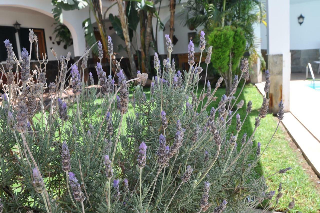Bonita casa cálida para el relax con wifi Valsequillo de Gran Canaria Exterior foto